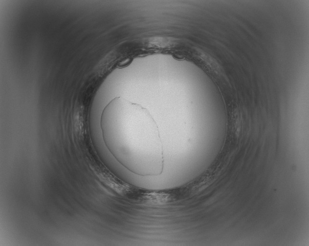 X0000083000328200702160056