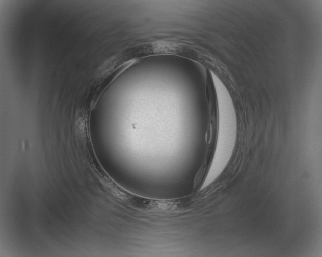 X0000083000329200702160056