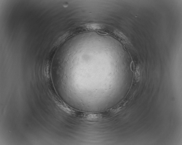 X0000083000330200702160056