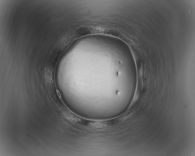 X0000083000331200702160056