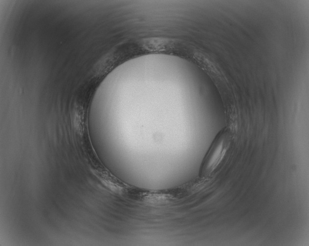 X0000083000332200702160056