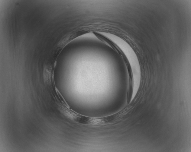 X0000083000333200702160056