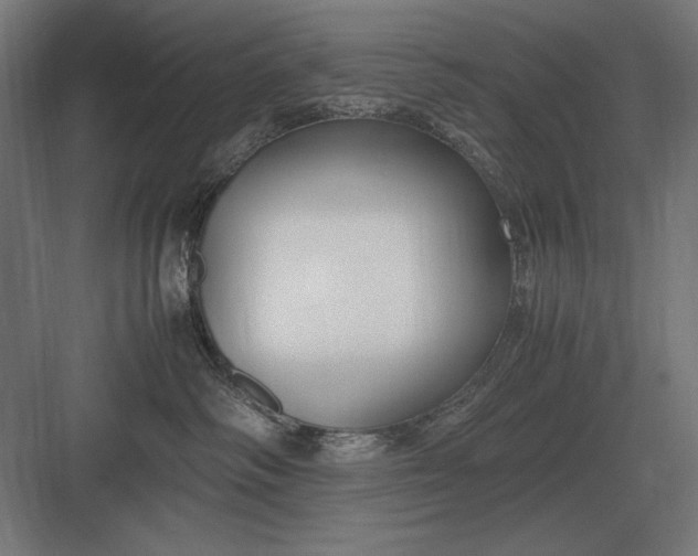 X0000083000334200702160056