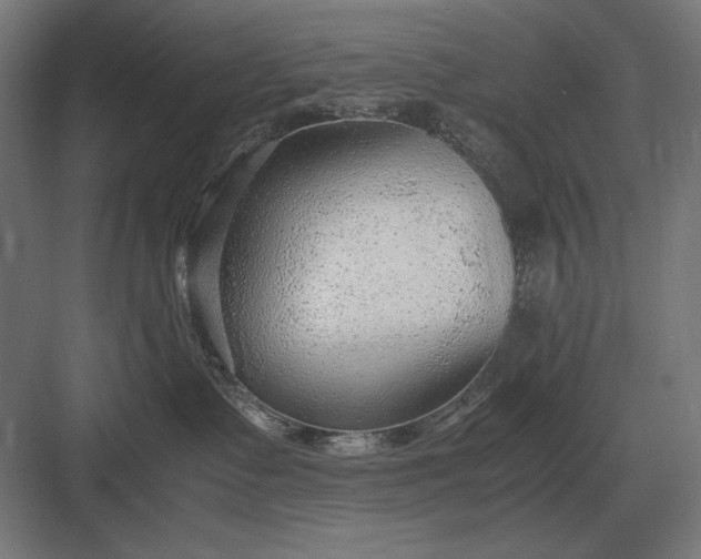 X0000083000335200702160056