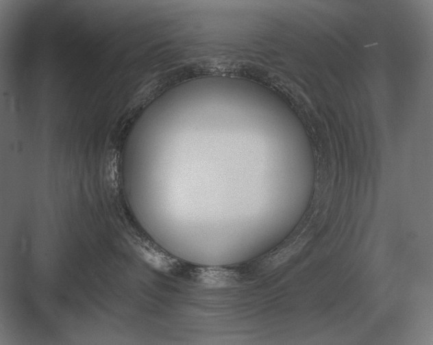 X0000083000336200702160056