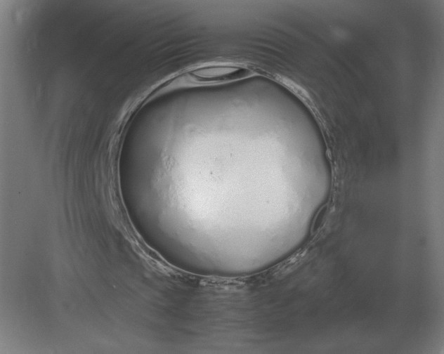 X0000083000337200702160055