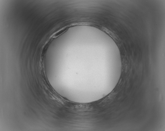 X0000083000338200702160055