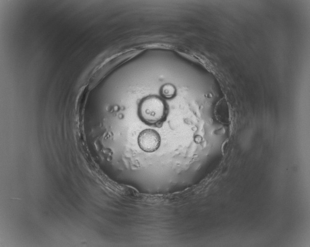 X0000083000339200702160055