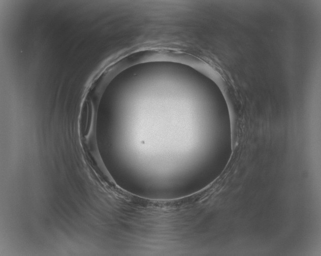 X0000083000340200702160055