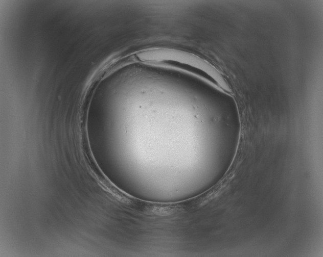 X0000083000341200702160055