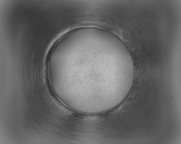 X0000083000342200702160055