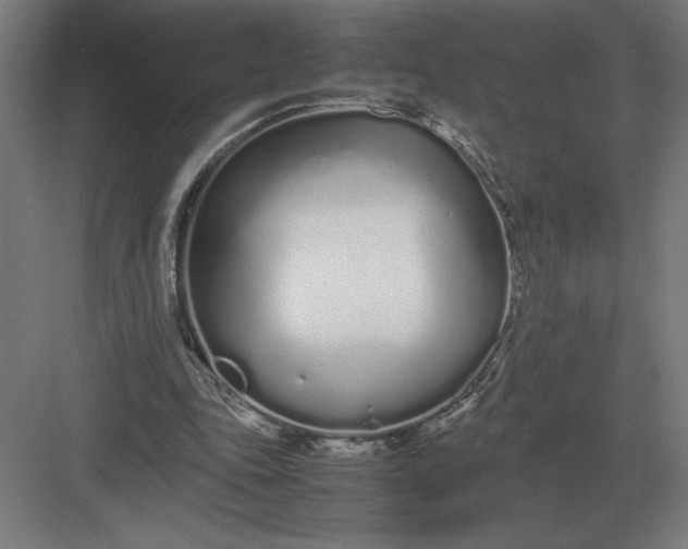 X0000083000343200702160055