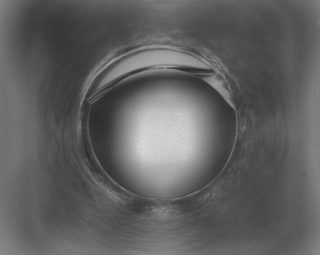 X0000083000344200702160055