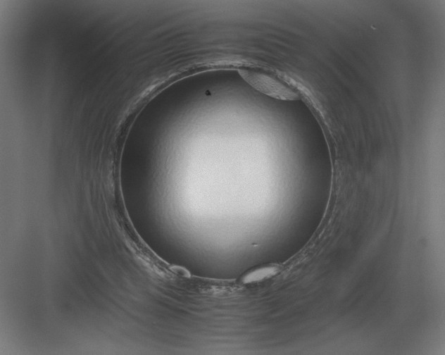 X0000083000345200702160055