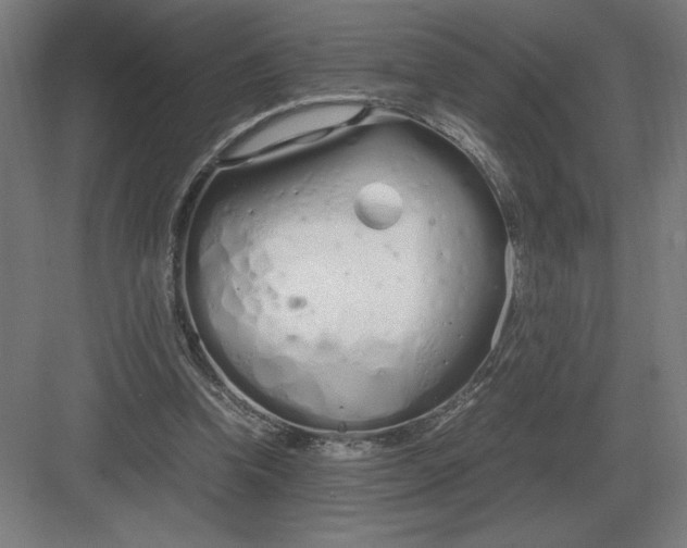 X0000083000346200702160055