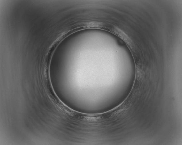 X0000083000347200702160055