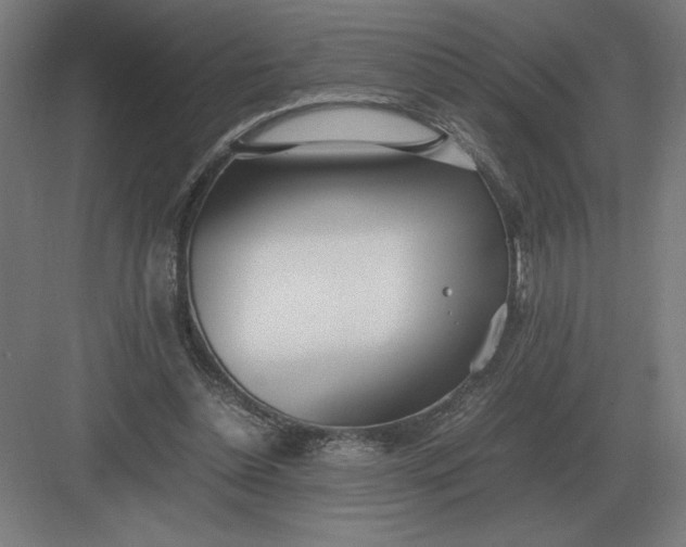 X0000083000348200702160055