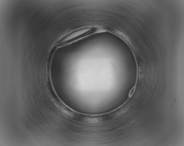 X0000083000349200702160055