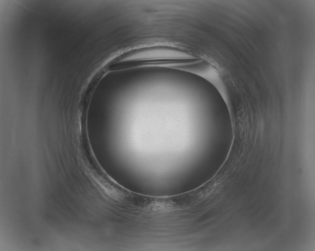 X0000083000350200702160055