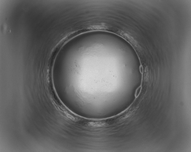 X0000083000351200702160055