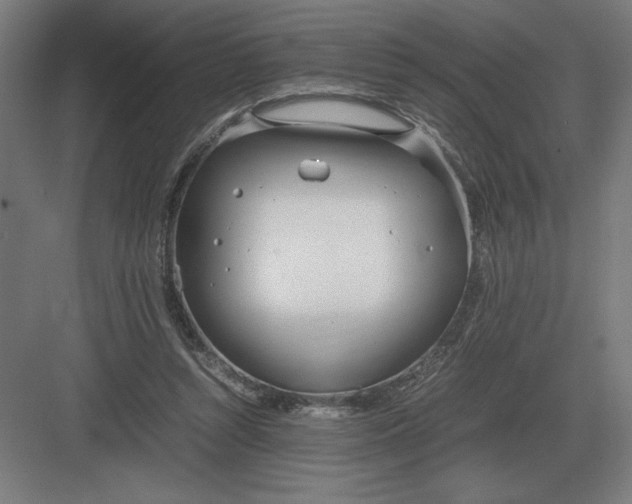 X0000083000352200702160055