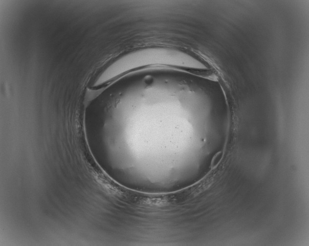 X0000083000353200702160055