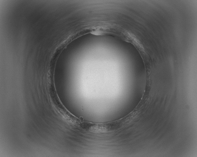 X0000083000354200702160055