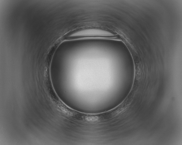 X0000083000355200702160055