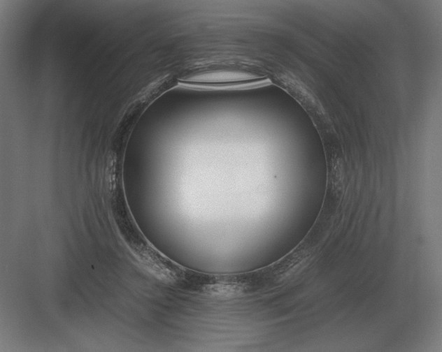 X0000083000356200702160055