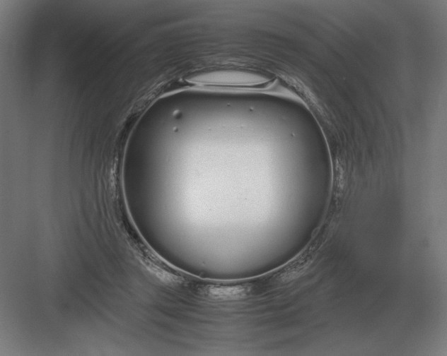 X0000083000357200702160055