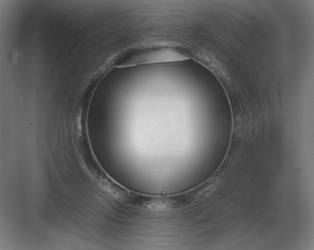 X0000083000358200702160055