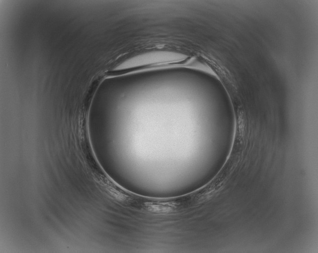 X0000083000359200702160055