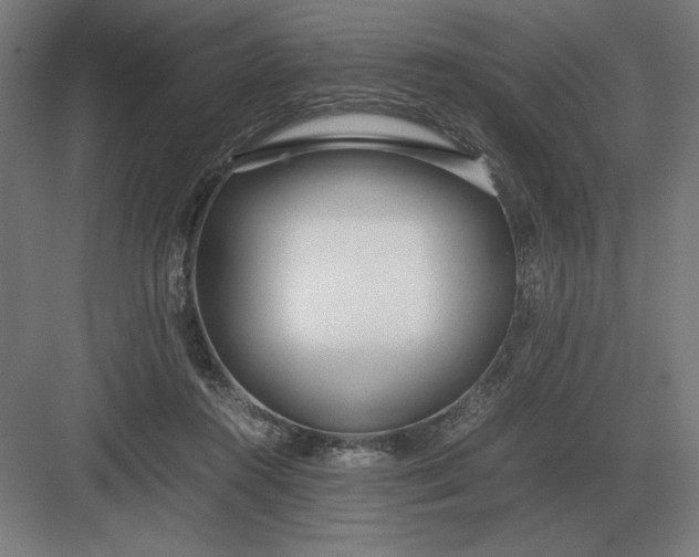 X0000083000360200702160055