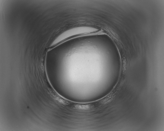 X0000083000361200702160055