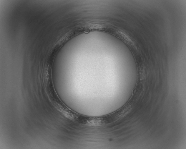 X0000083000362200702160055