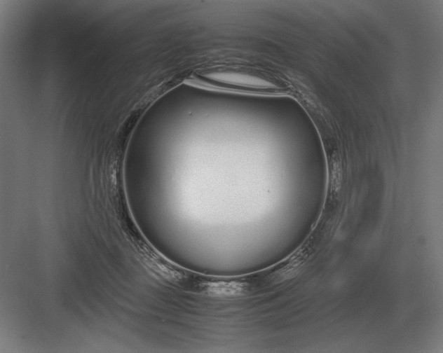 X0000083000363200702160055