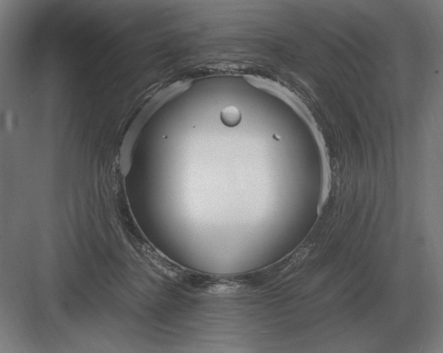 X0000083000364200702160055