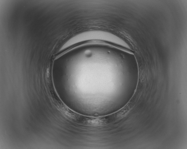 X0000083000365200702160055