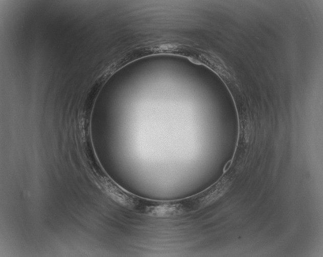 X0000083000366200702160055