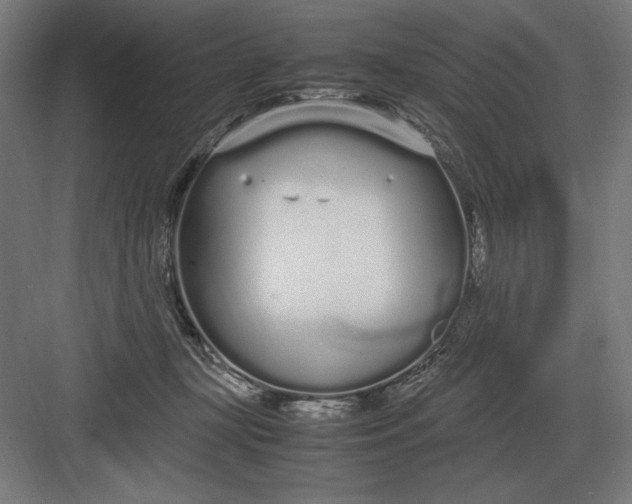 X0000083000367200702160055