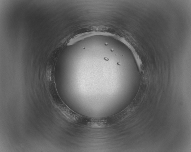 X0000083000368200702160055