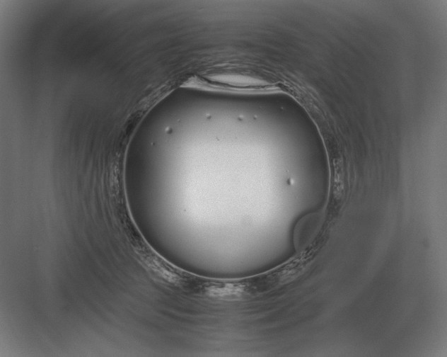 X0000083000369200702160055