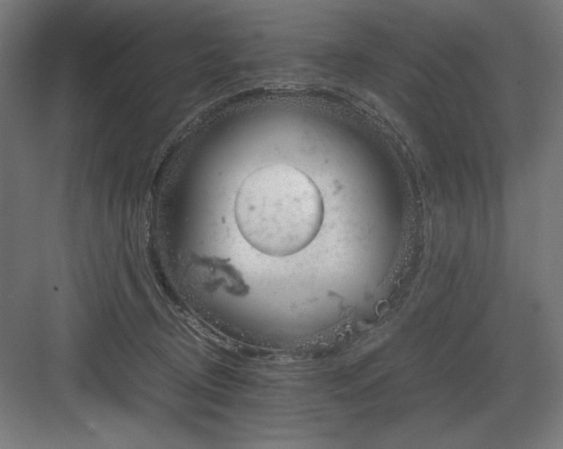 X0000083000370200702160055