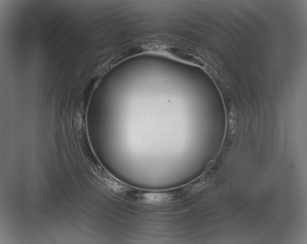 X0000083000371200702160055