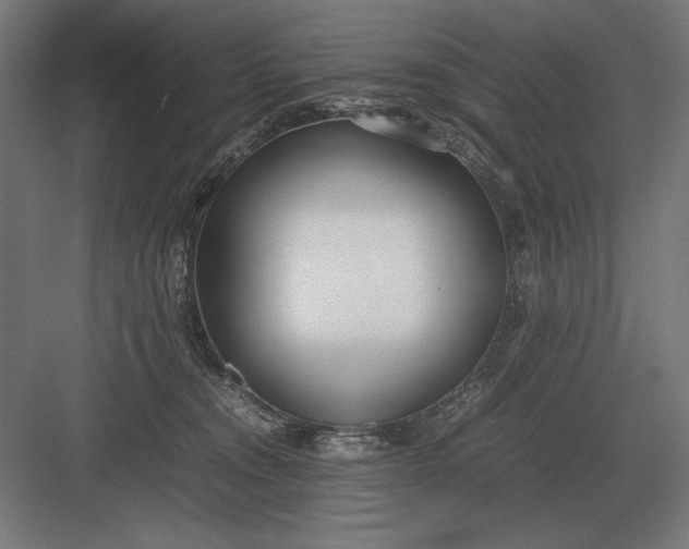 X0000083000372200702160055