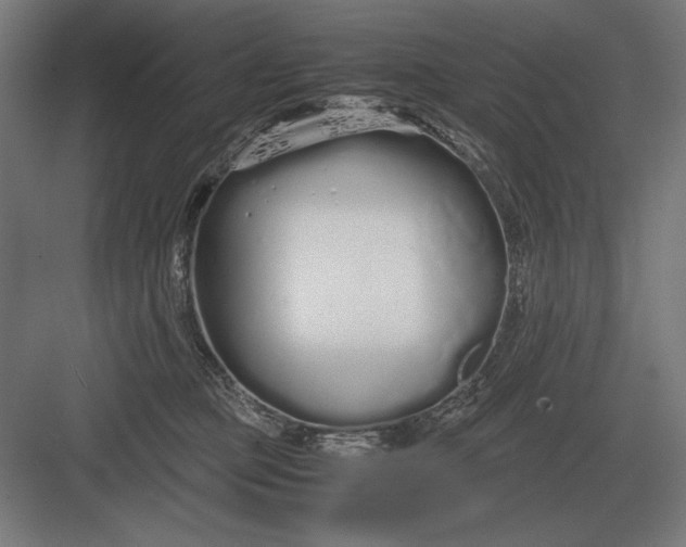 X0000083000373200702160055