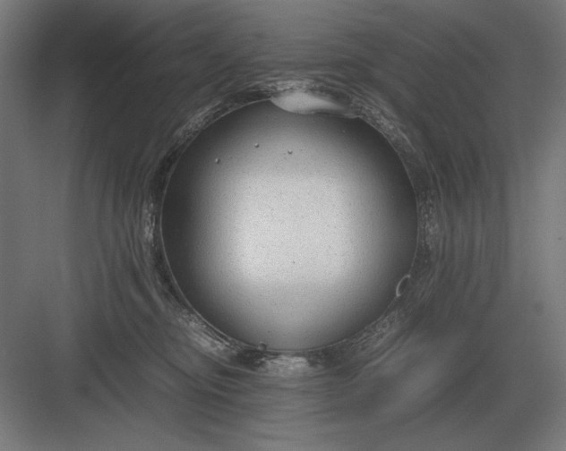 X0000083000374200702160055