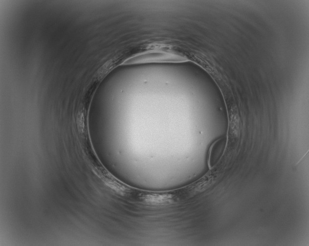 X0000083000375200702160055