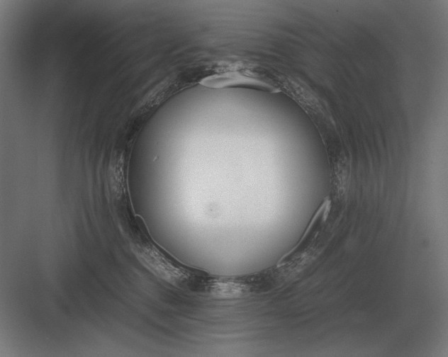 X0000083000376200702160055