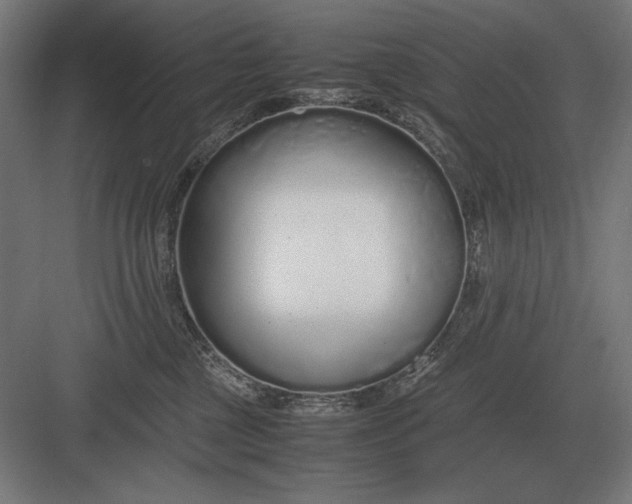 X0000083000377200702160055